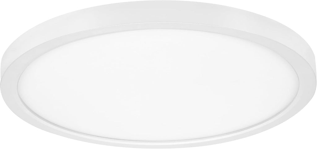 White LED Flush Mount Ceiling Light 5 CCT