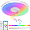 Ceiling Light Bluetooth Speaker 12 Inch
