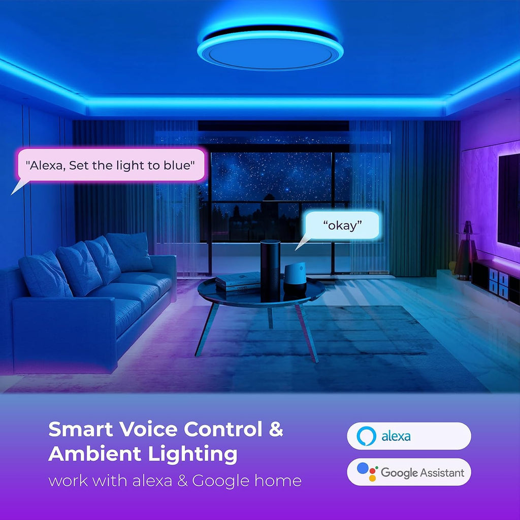 Smart RGB White Ceiling Light 13 Inch