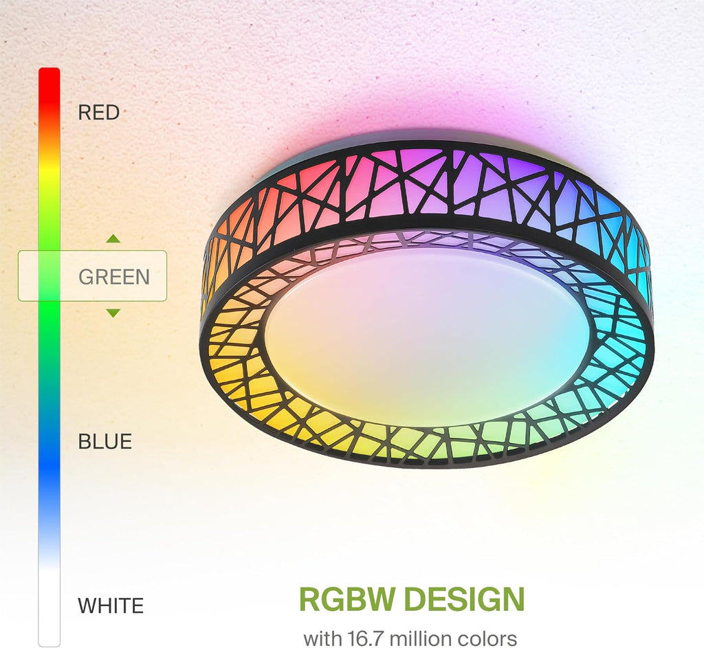 Smart RGBW Matte Black Ceiling Light 12 Inch